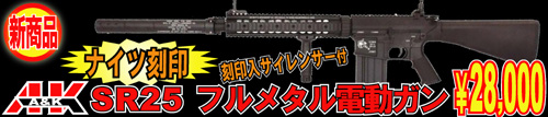 A&K SR25�V���[�Y