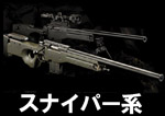 Smith & Wesson